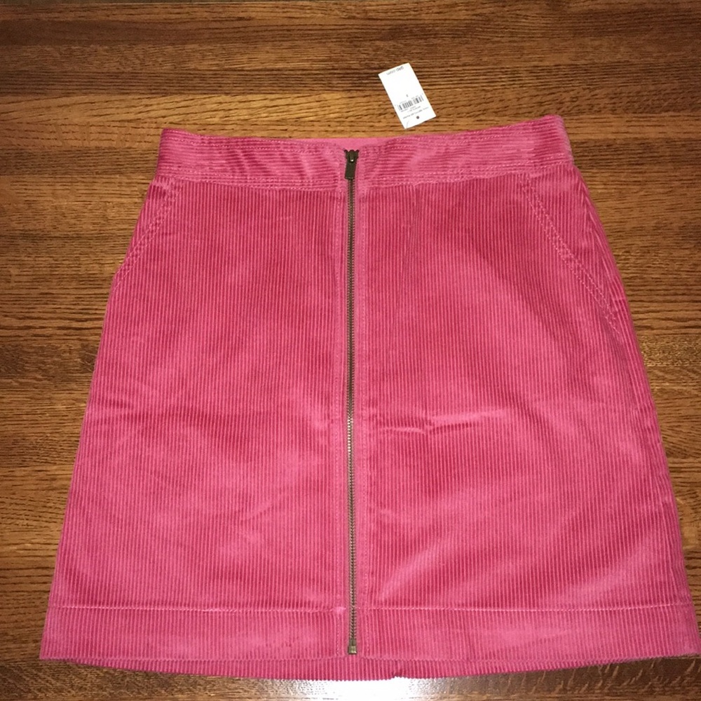 Gap Courderoy Zipper Front Skirt